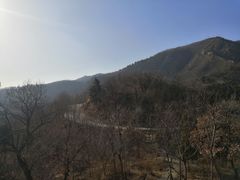 -北京鹫峰国家森林公园