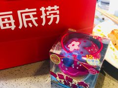 -海底捞火锅(公益西桥店)