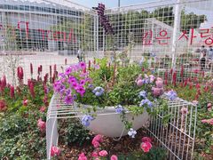 -深圳国际园林花卉博览园