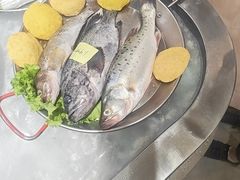 -美达尔烧烤(大尧三路店)