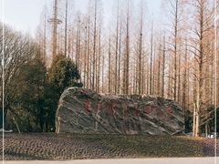 -东平国家森林公园