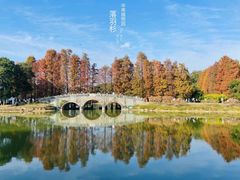 -中国科学院华南植物园