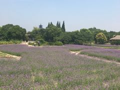 -乌镇望津里精品酒店