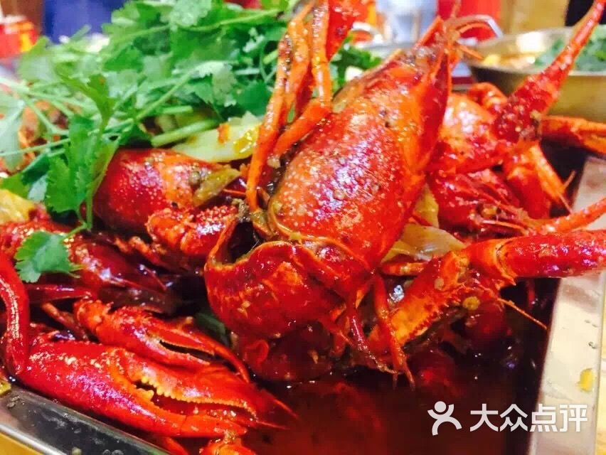 望江门小龙虾图片 - 第1张