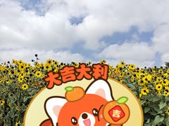 -万绿园