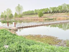 -洨河生态公园