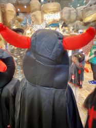 -卡通尼·Safari非洲探索乐园·生日会(金桥国际商业广场店)