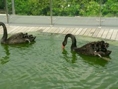 -南京圣和府邸豪华精选酒店