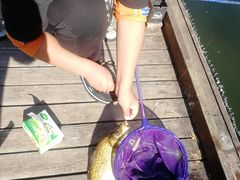 -酷鱼垂钓CLUB(朝阳区博大路店 )