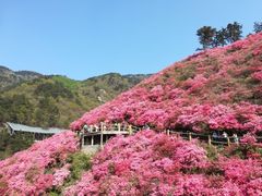 -木兰云雾山