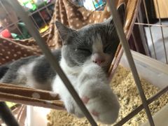 -宠物世家(仲盛世界商城店)