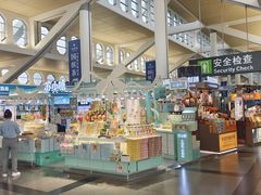 -厦门高崎国际机场-T3航站楼