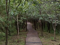 -北京十三陵国家森林公园蟒山景区