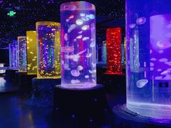 -锦艺城海洋馆