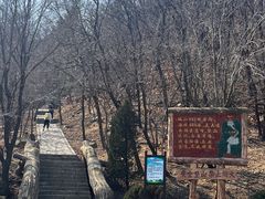 -金龙寺国家森林公园