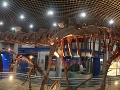 -国家自然博物馆