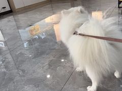 -贝康宠物医院·犬猫全科·小动物特色诊疗中心(东环路店)