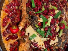 -老板恋上鱼(印象城店)