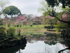 -无锡梅园公园