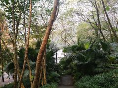 -重庆彩云湖湿地公园
