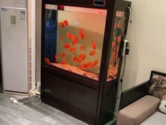 -北纬37°SPA养身会馆(湖西店)