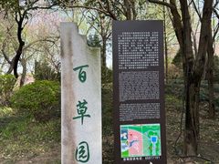 -洛阳市隋唐城遗址植物园