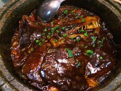 -海派美食·家宴海鲜青岛菜·石锅鲽鱼头(东方城店)