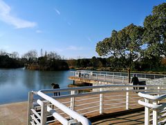 -新江湾城公园