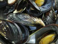 -豪园台山碳烧生蚝(蓬江江华店)