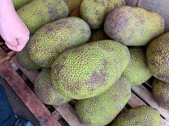 -红星农博物流中心