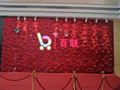 -沈阳百联购物中心(青年大街店)