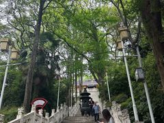 -九华山公园