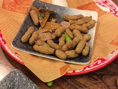 -周记老沈阳焦火鸡架