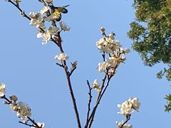 -荔枝公园(福田区)