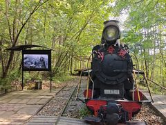 -五营红松林海景区