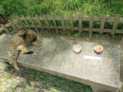 -西园戒幢律寺