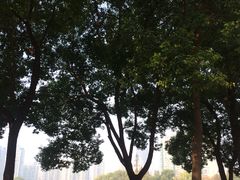 -西北湖绿化广场
