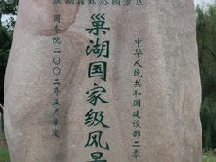 -合肥滨湖国家森林公园