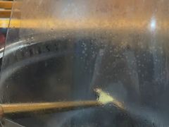 -醉旺柴火鸡(棠东店)
