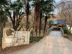 -上海共青森林公园