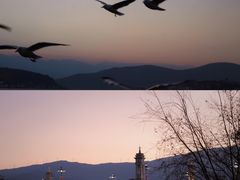 -大理洱海