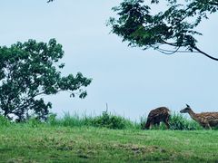 -良渚古城遗址公园