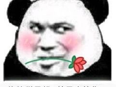 -西涌国际滨海旅游区