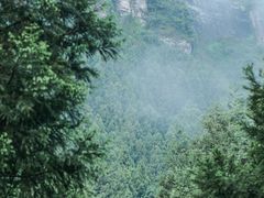 -重庆睡佛山森林公园