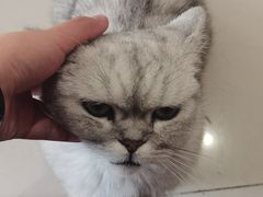 -平行世界·猫咖(首经贸店)