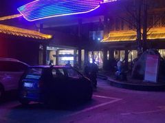 -胖大姐黄辣丁鱼庄(新津店)