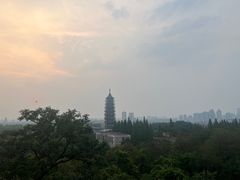 -羊山湖公园