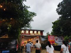 -大王岭农庄