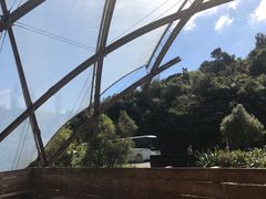 -怀托摩萤火虫洞