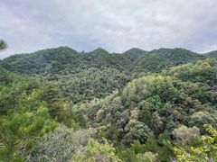 -玉渡山自然风景区